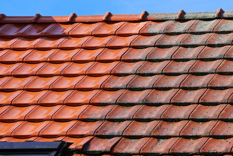 Tile Roof Painting