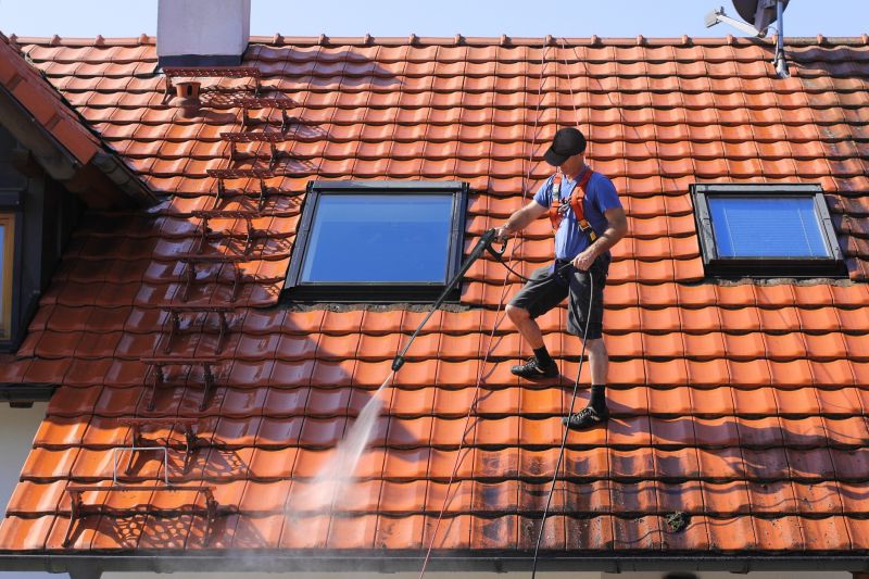 Tile Roof Painting