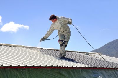 Tile Roof Painting