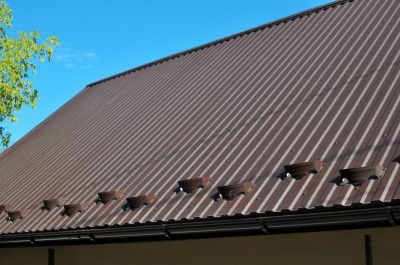 Tile Roof Painting
