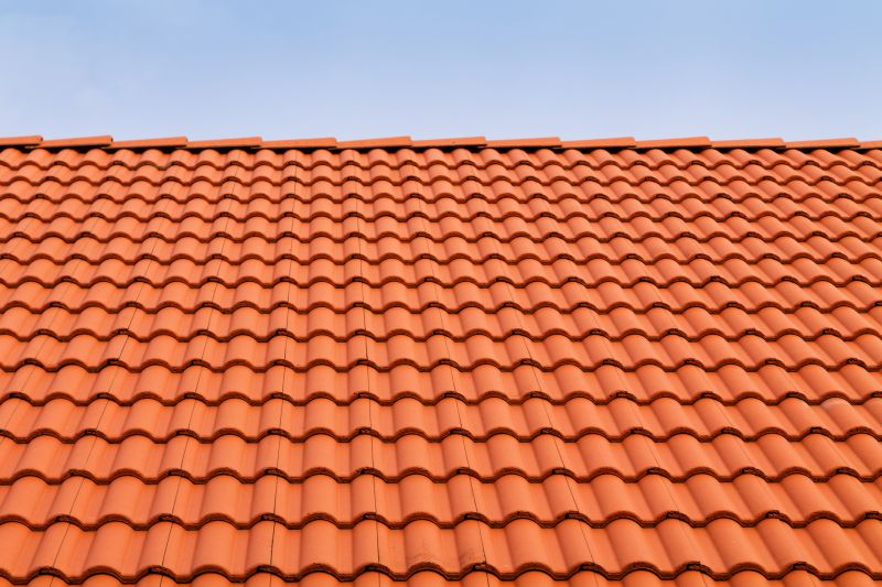 Tile Roof Painting