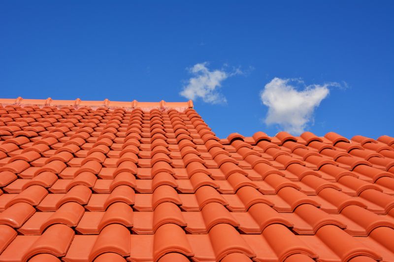 Tile Roof Painting