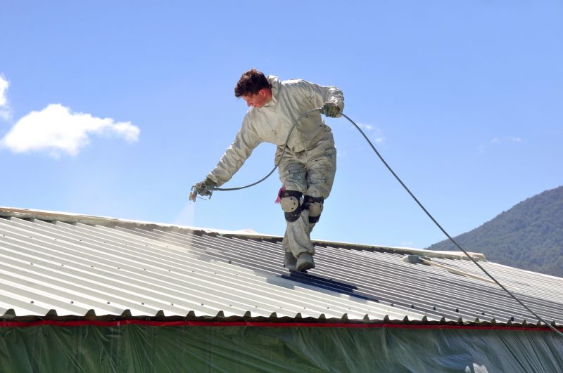 Tile Roof Painting