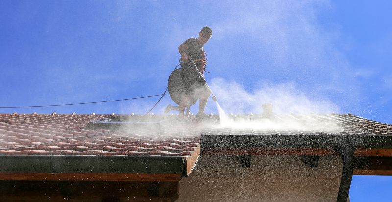 Experienced Roof Painters